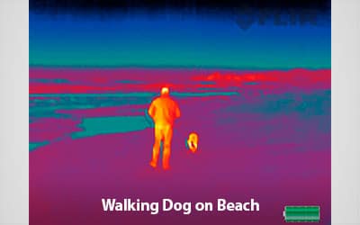 FLIR Scout TK thermal view of person walking their dog on the beach