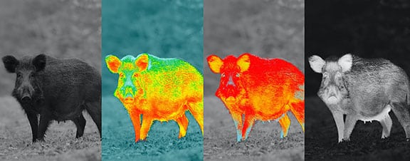 Image of multiple different color modes shown next to each other