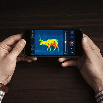 A pair of hands holding a smartphone viewing a thermal image within the Pulsar app.