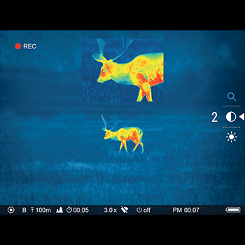 Photo of a deer shown in thermal.