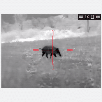 Black hot thermal image with red crosshairs targeting a wild boar.