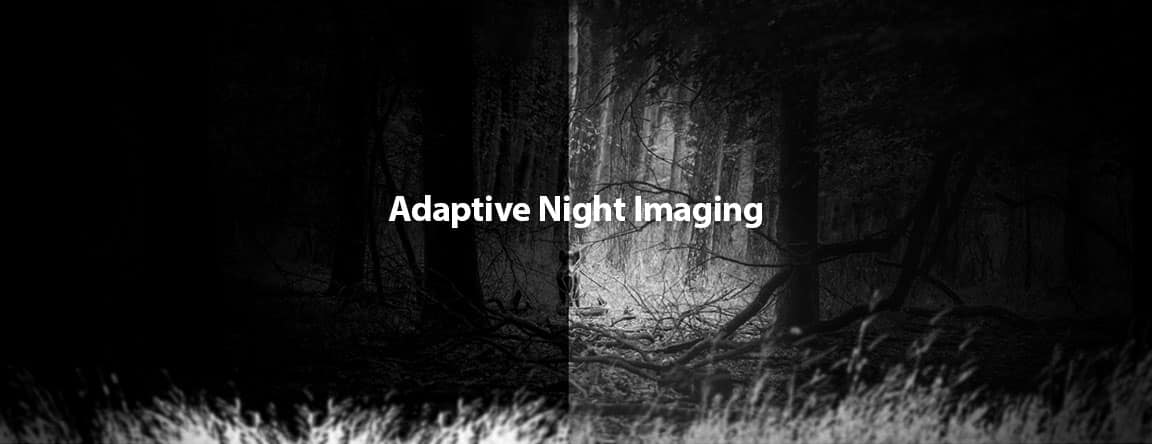 Side-by-side view of the Digex C50 adaptive night vision comparison.