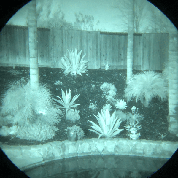 Photo of various plants and trees as shown at night looking through AN/PVS-31D (F5032) night vision binoculars.
