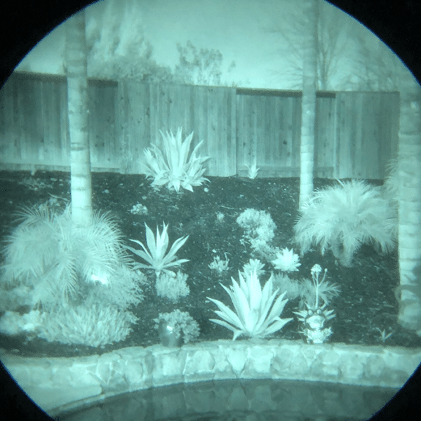 Photo of various plants and trees as shown at night looking through AN/PVS-14A GEN III.
